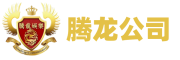 腾龙公司